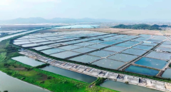 从鱼塘到舌尖半天妖烤鱼的健康取甘旨就 